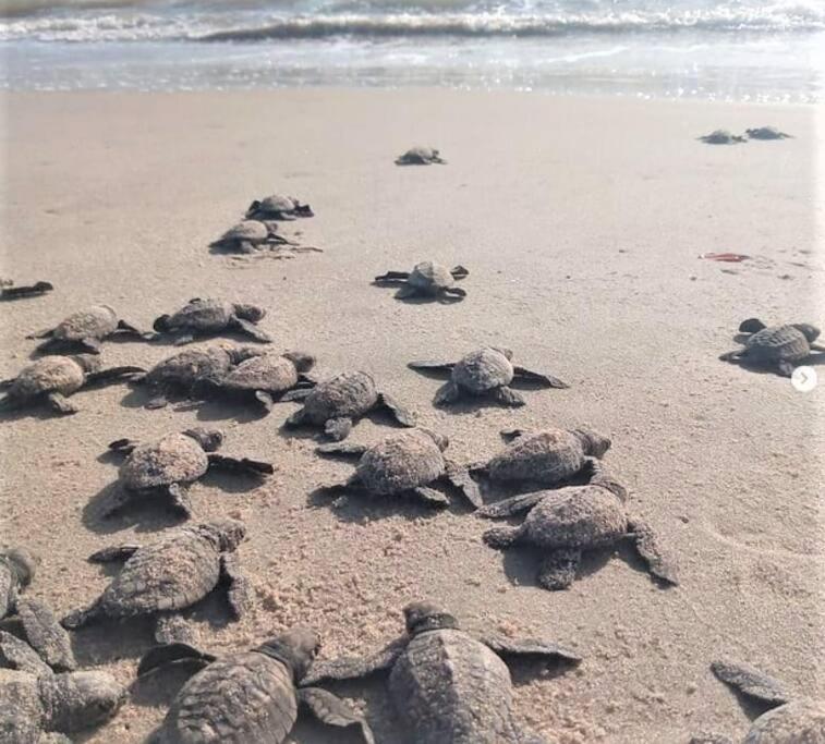 Joao Pessoa, A Dois Passos Do Paraiso, 2 Suites Com A/C, Vista Panoramica Para O Mar Do Bessa, Portaria 24H E 2 Vagas De Garagem Zewnętrze zdjęcie